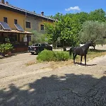 Cantuccio Nel *