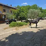 Cantuccio Nel Country house