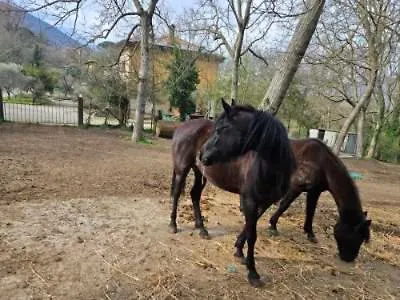 Cantuccio Nel Landsted Avellino