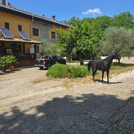 Cantuccio Nel *