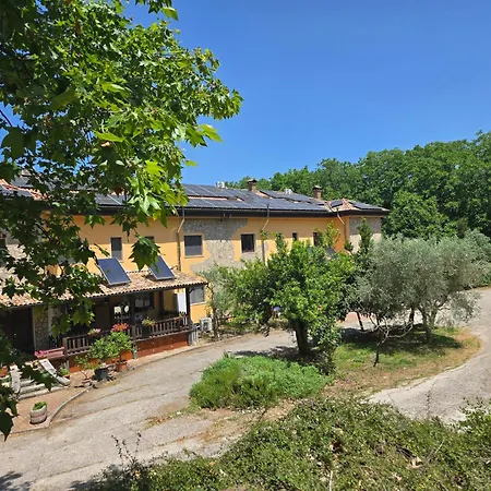 Cantuccio Nel *