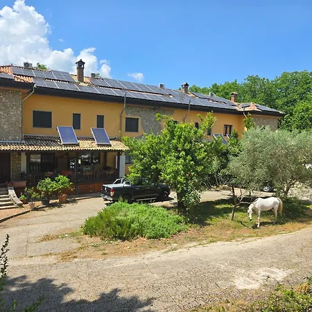 Cantuccio Nel Avellino