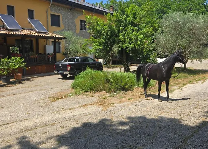 Cantuccio Nel *