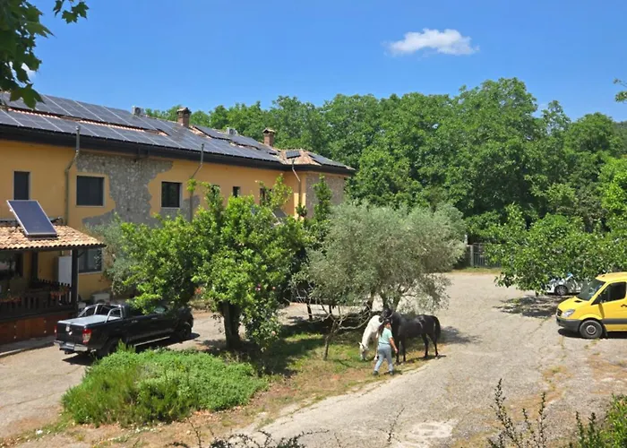 Cantuccio Nel *
