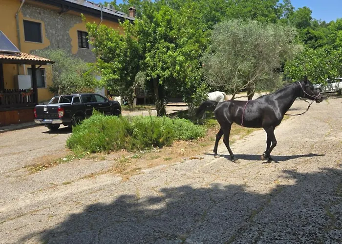 Cantuccio Nel Εξοχικό σπίτι